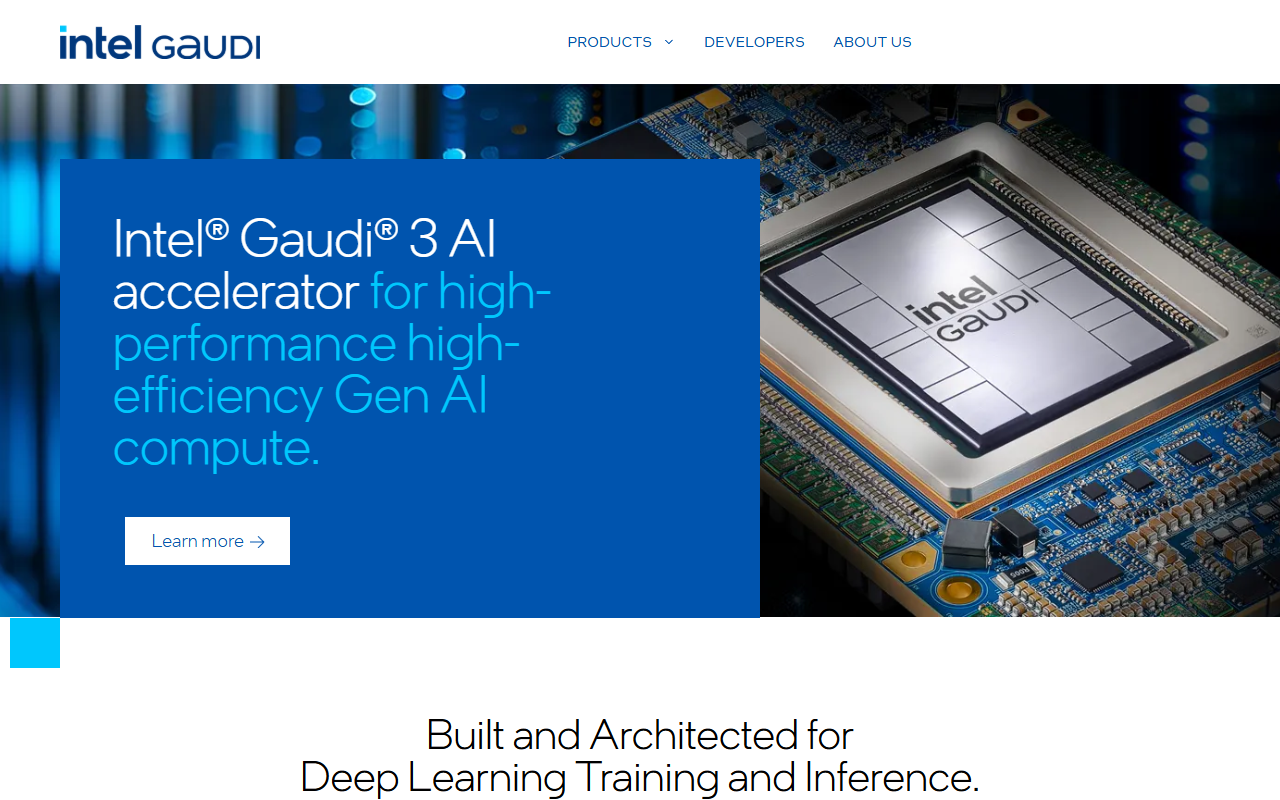 Intel Gaudi